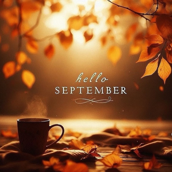 HELLO NOVEMBER - Picture 3 of 7